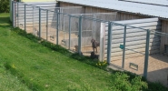 hundepension außenanlage