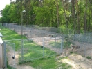 hundepension außenanlage