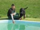 hundepension